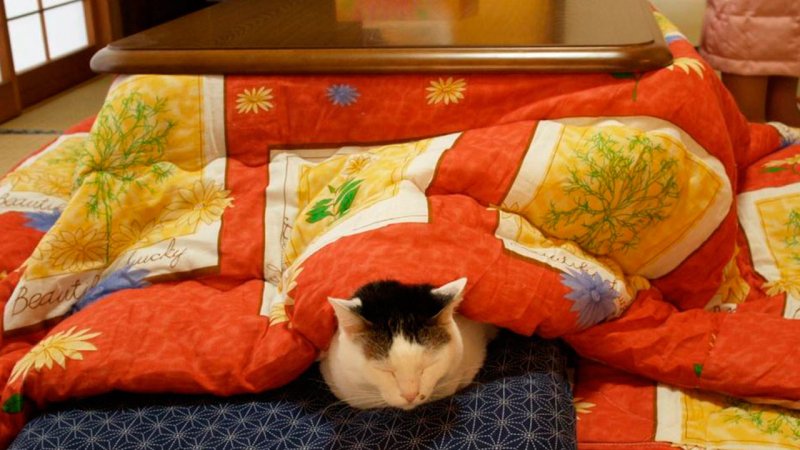 Японский стол с одеялом