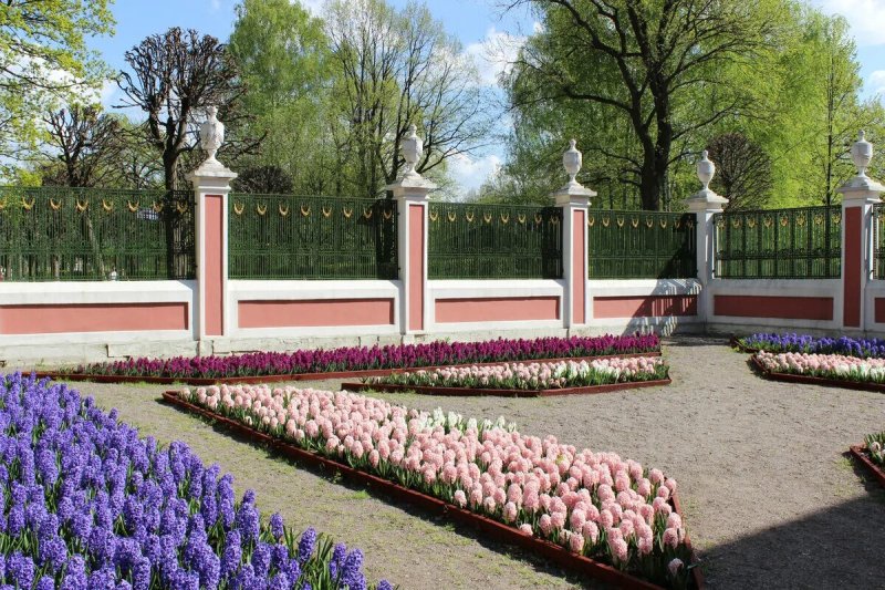 Нижний парк петергоф весна