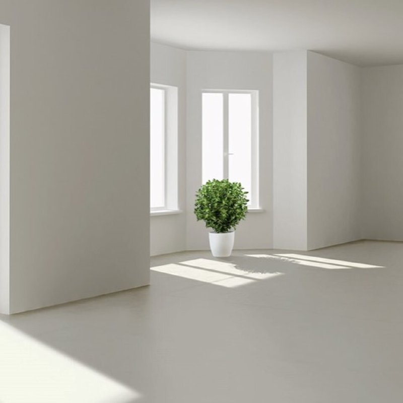 Предчистовая отделка white box