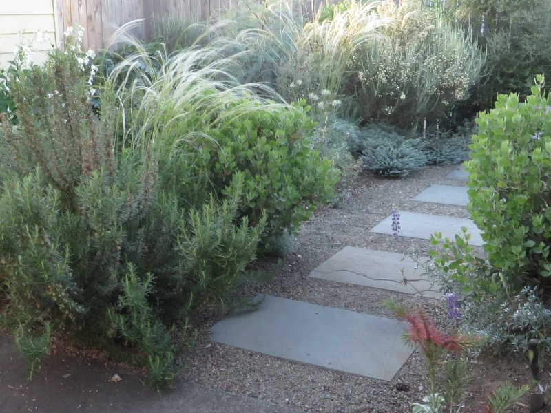Front yard landscaping