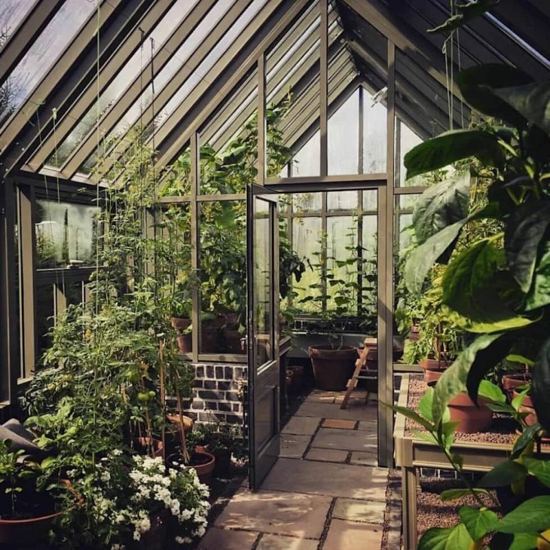Теплица елены власенко green house