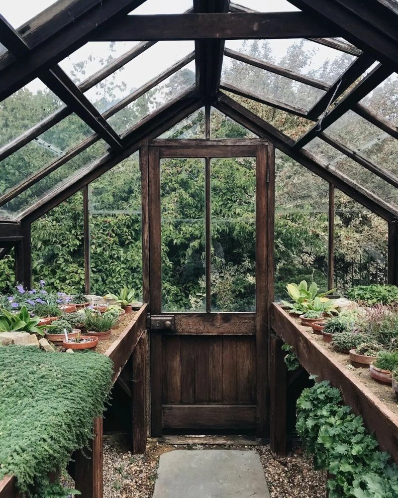 Green house greenhouse теплицы