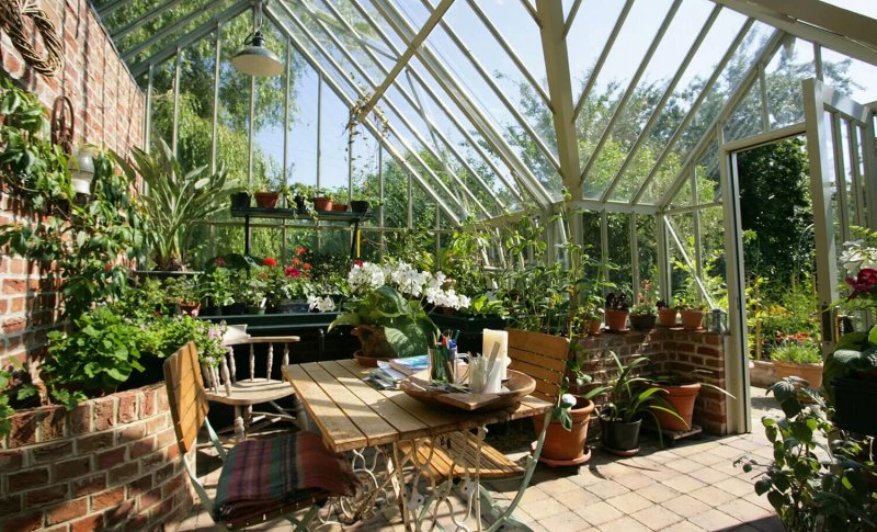 Теплица елены власенко green house