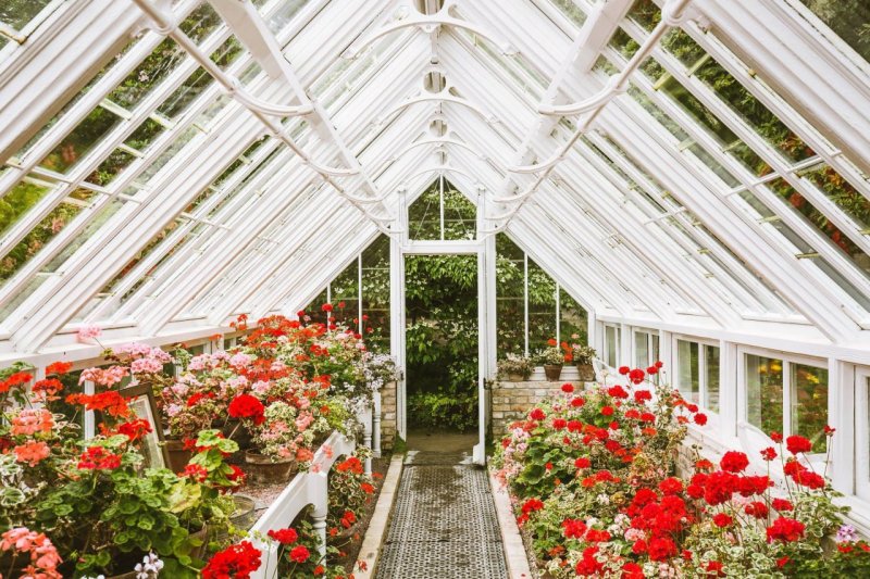 Green house greenhouse теплицы