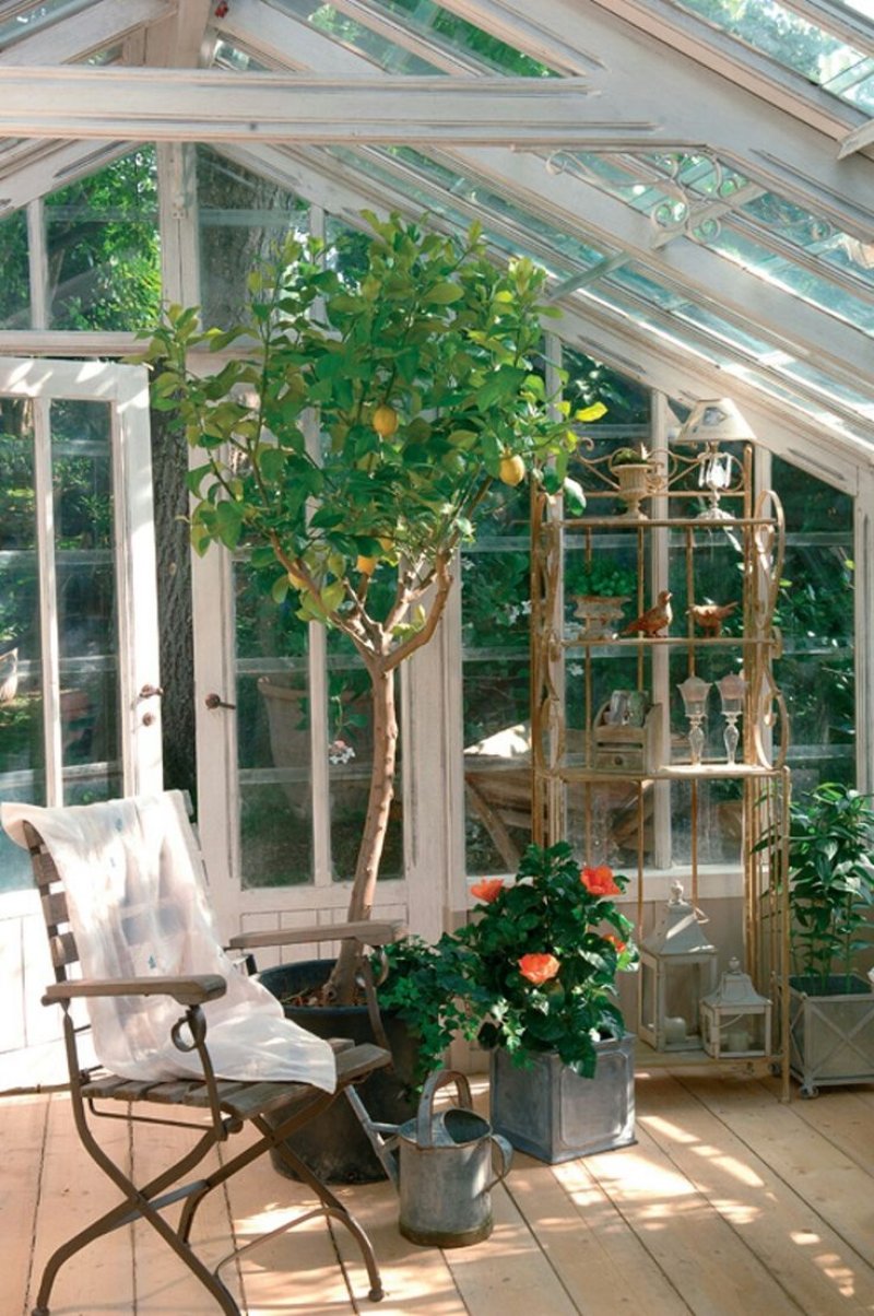 Теплица елены власенко green house
