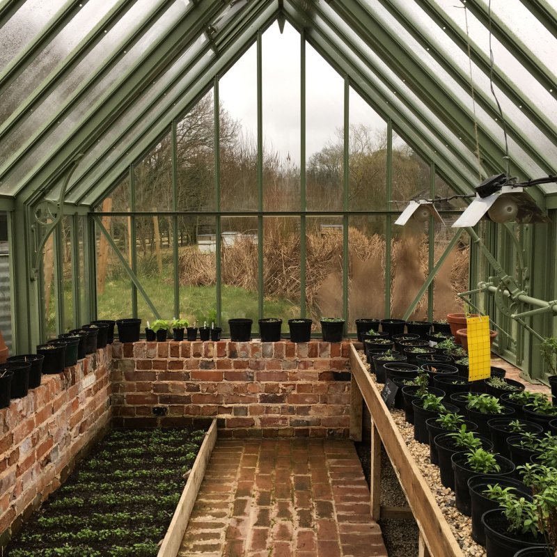 Hartley botanic теплица