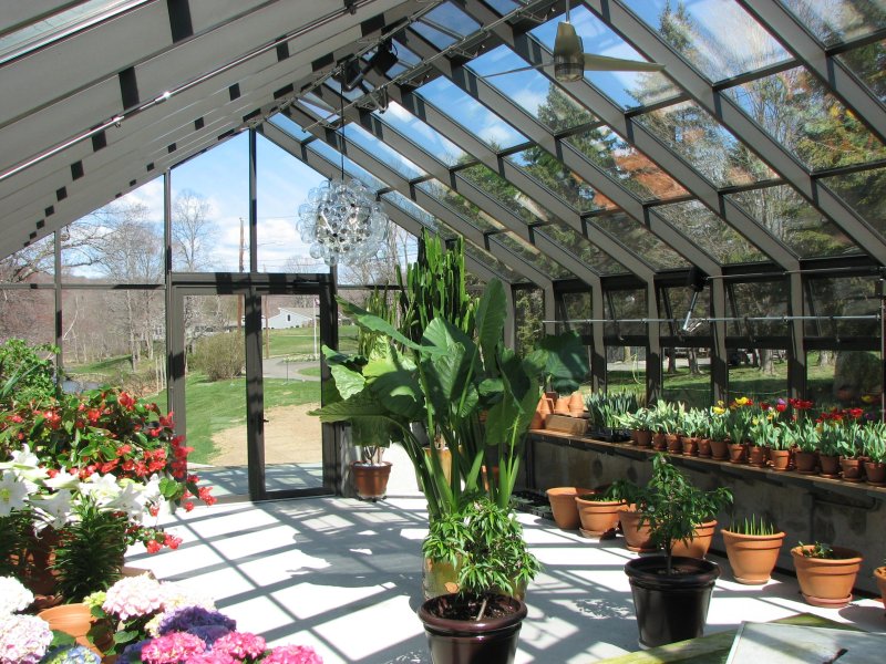 Hartley botanic теплица