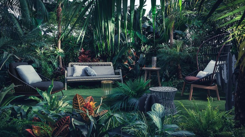 Tropical garden design