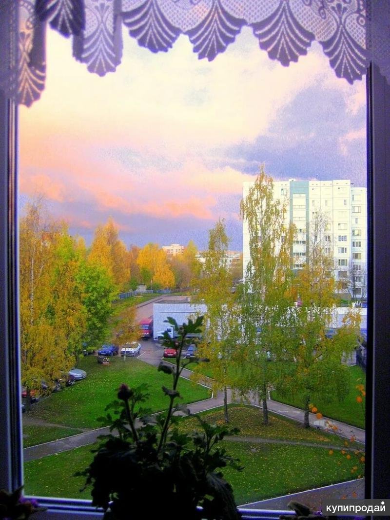 Пейзаж за окном