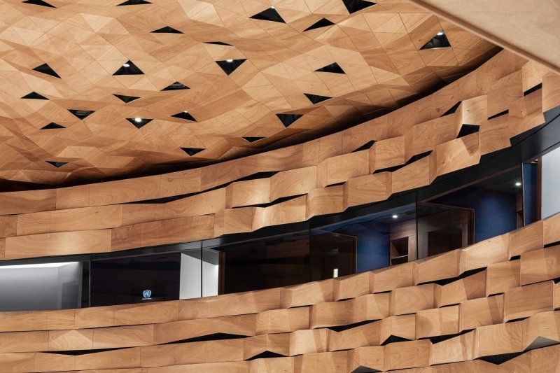 Гибкое дерево woodskin