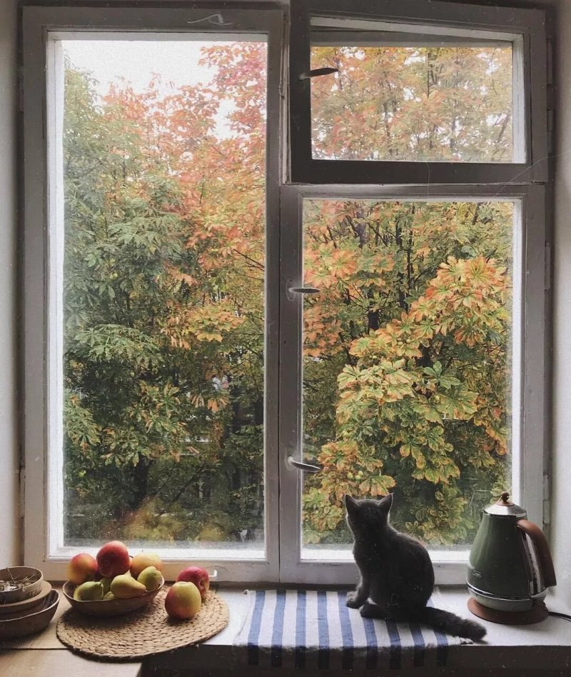 Окно осень