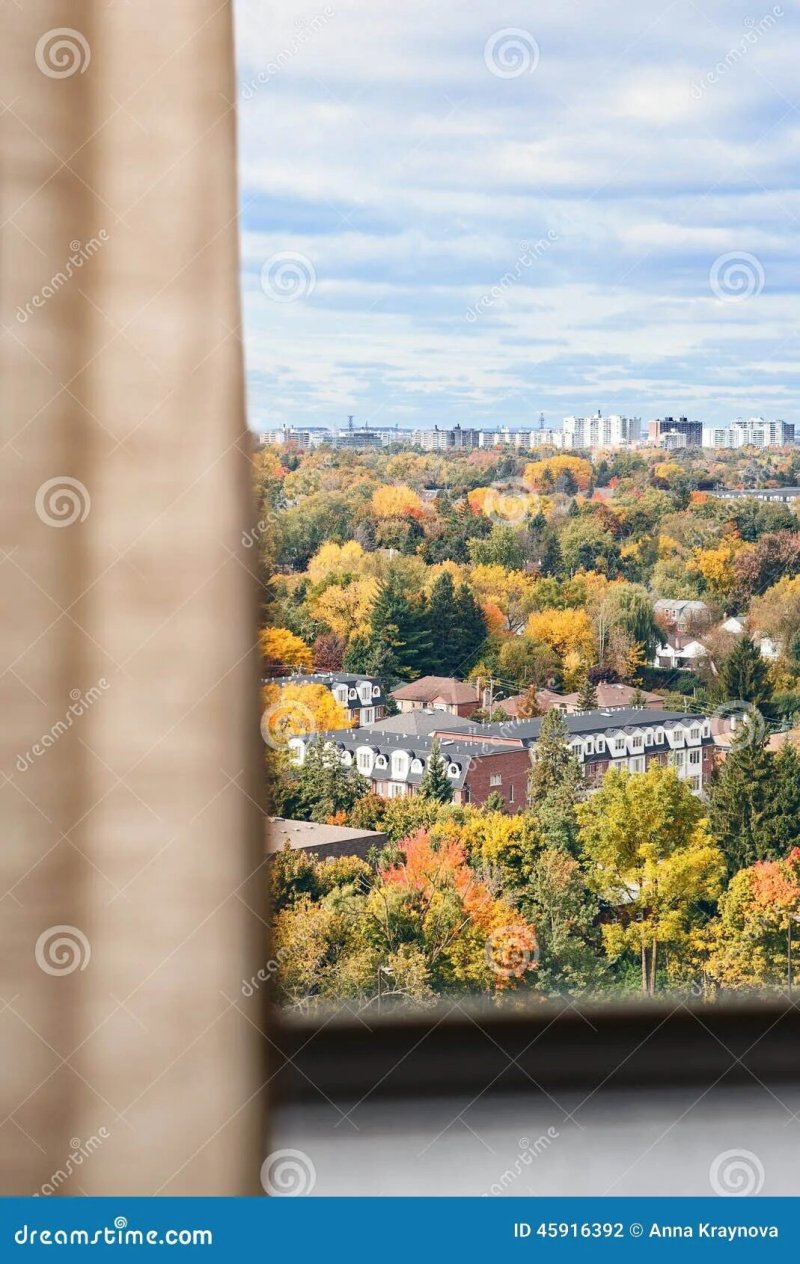 Вид из окна осенью