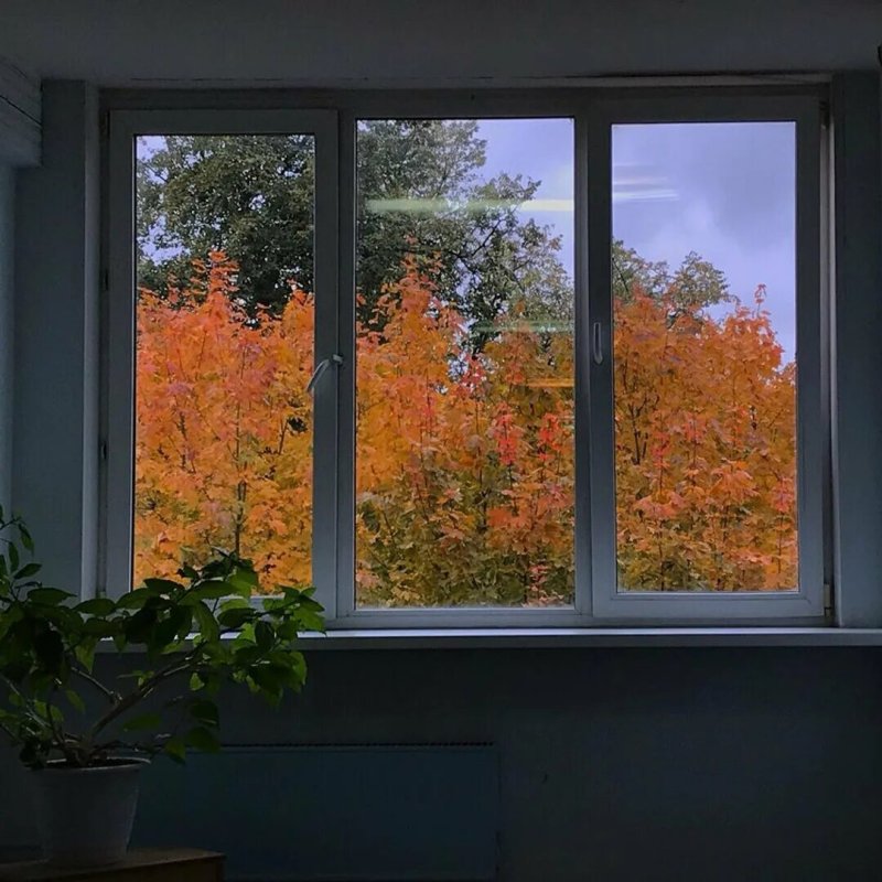 Окно осень