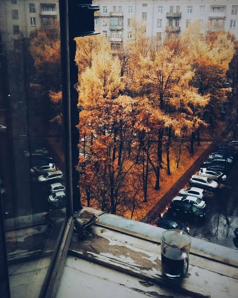 Осенний вид из окна