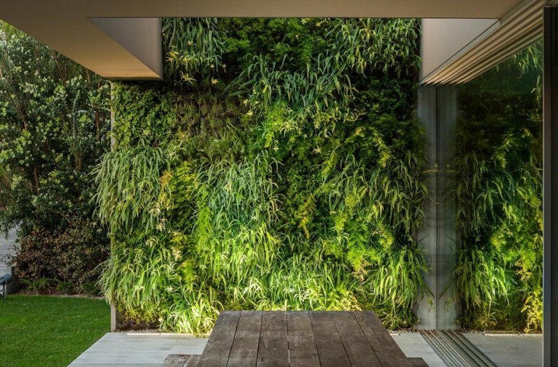 Vertical garden