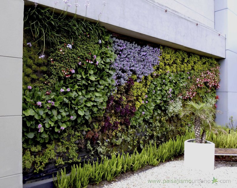 Vertical garden