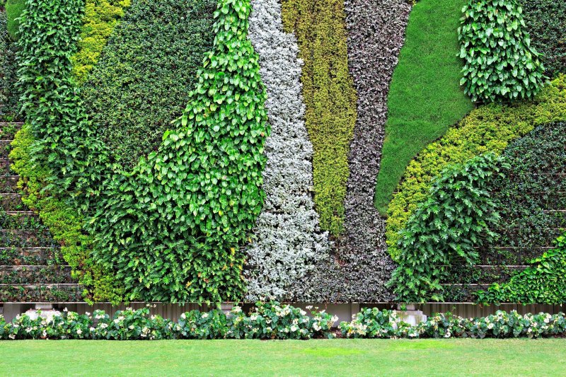 Vertical garden