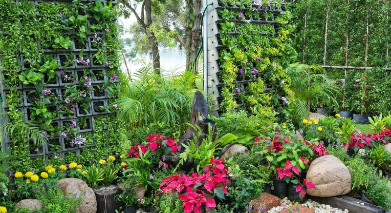 Vertical garden