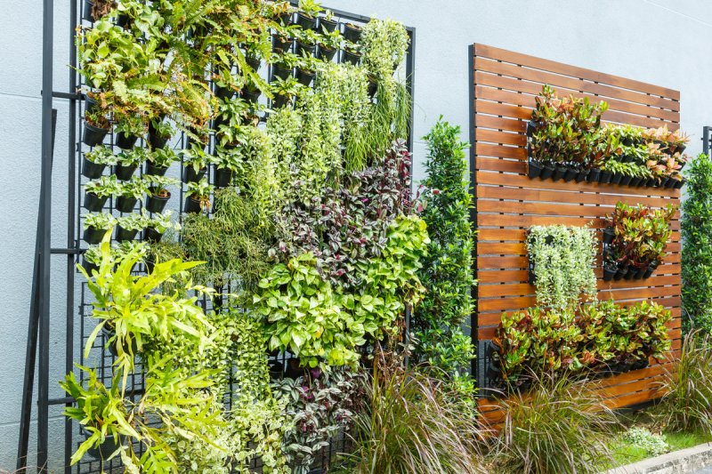 Vertical garden