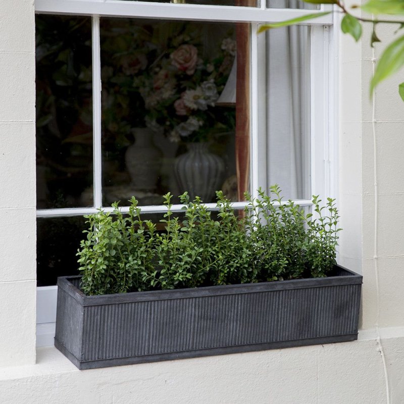 Mayne nantucket window box