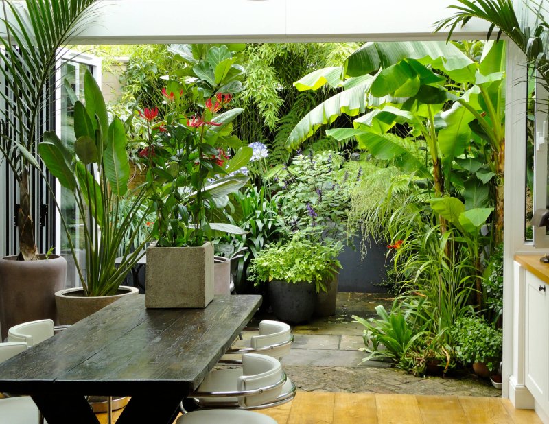Tropical garden design