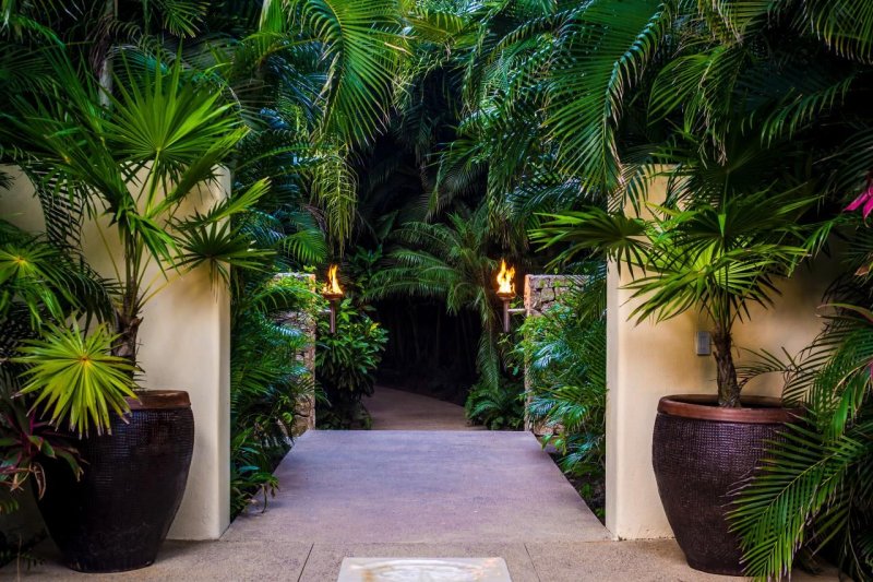 Tropical garden design