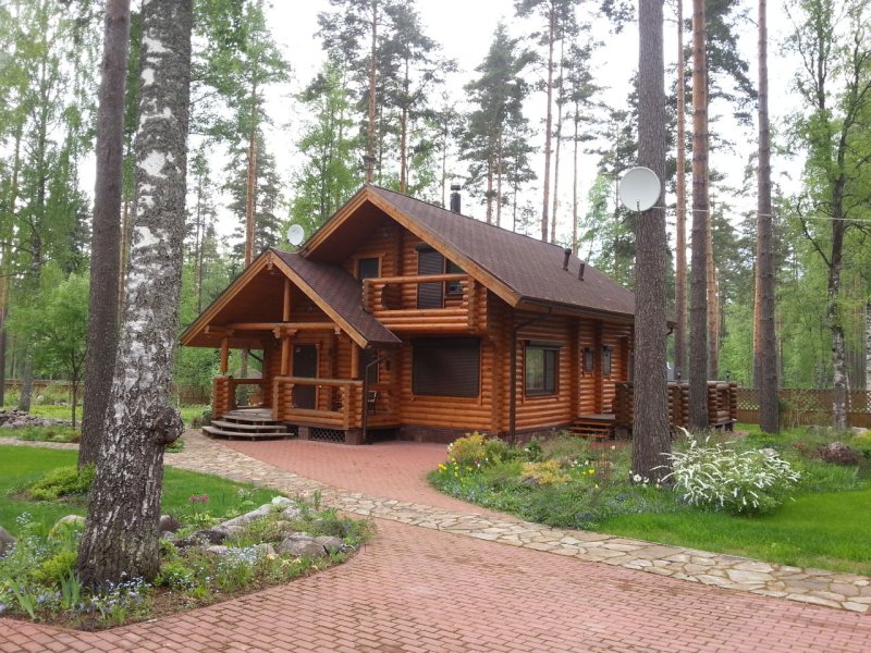 Срубовой дом в сосновом бору