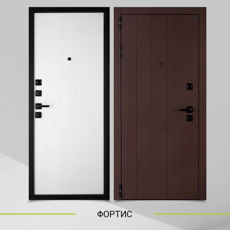 Фортис двери