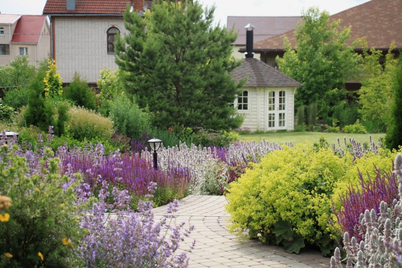 Сады натальи борисовой nb garden