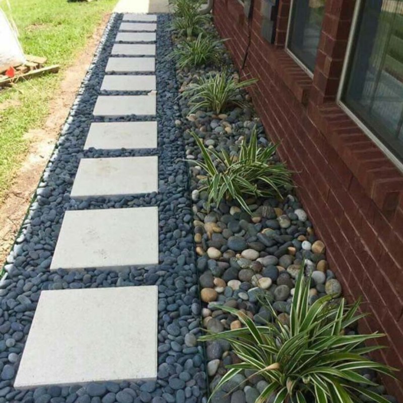 Backyard landscaping