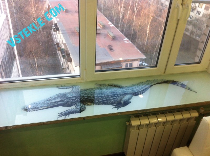 Домашние крокодилы
