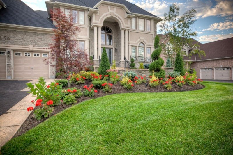 Front yard landscaping