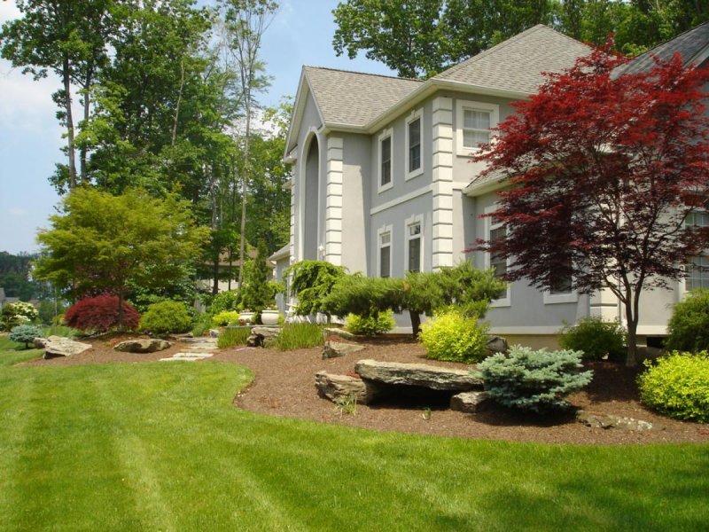 Front yard landscaping ideas