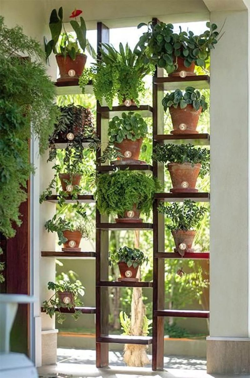 Jardim vertical