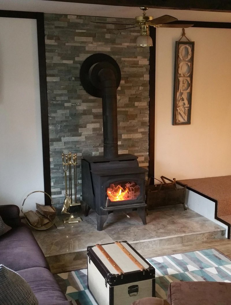 Дровяная печь-камин fireplace hordo