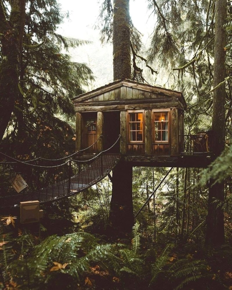 Forest house хижина в лесу