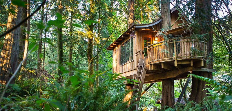 Отель treehouse домики на деревьях
