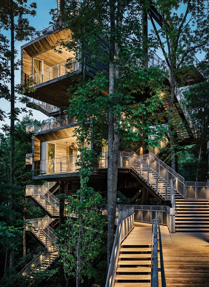 Tree house design