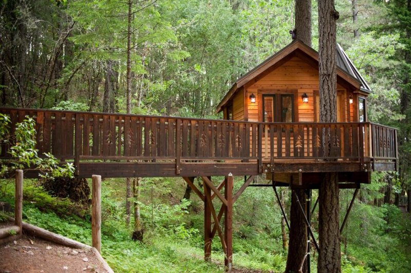 Treehouse treehouse