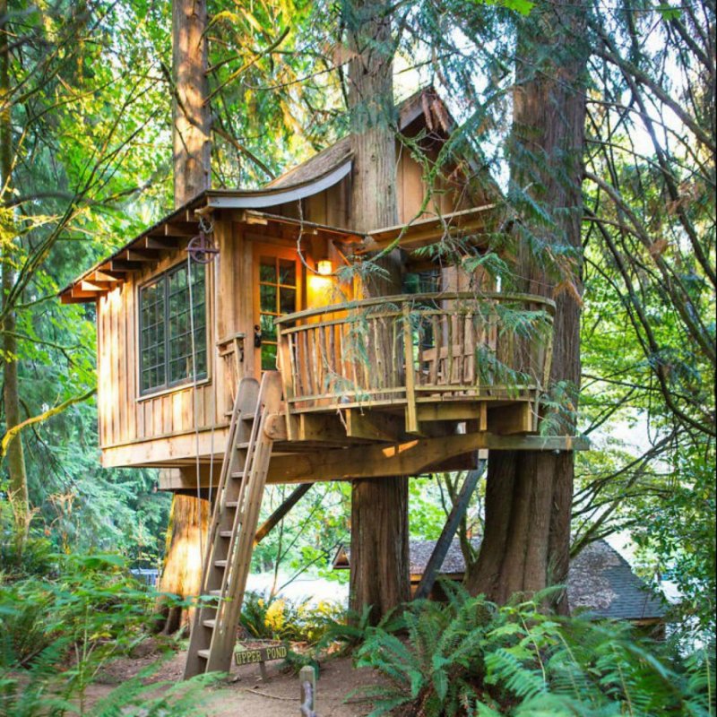 Отель treehouse домики на деревьях