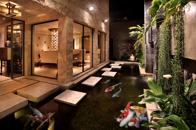Backyard koi pond