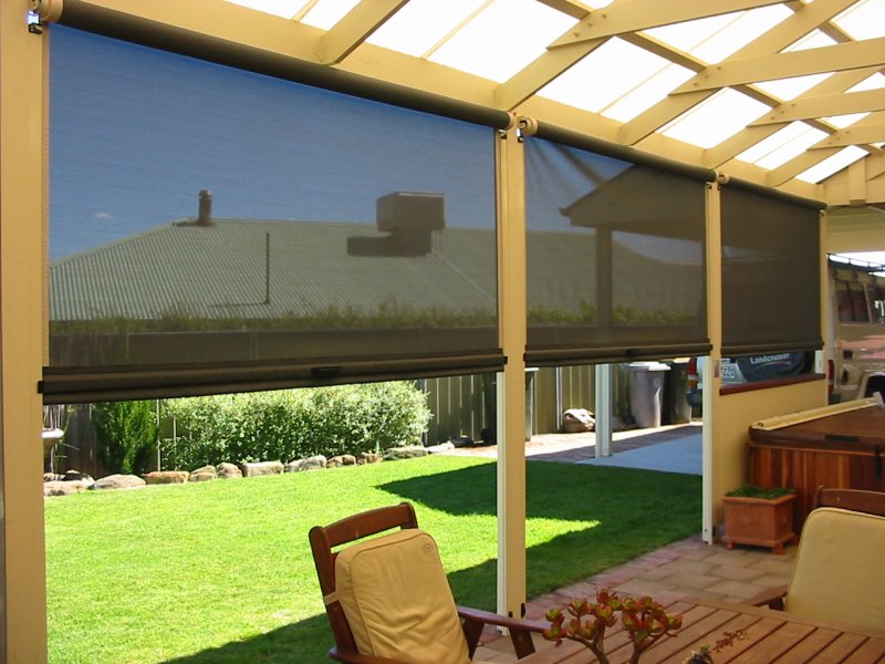 Blinds shades