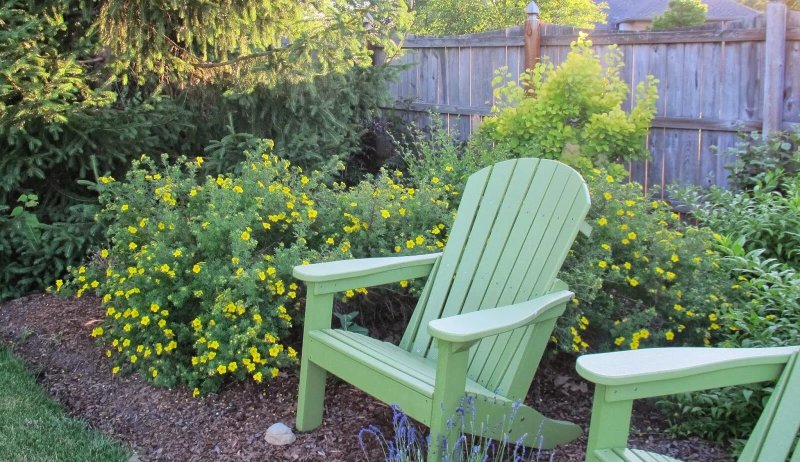 Adirondack chair