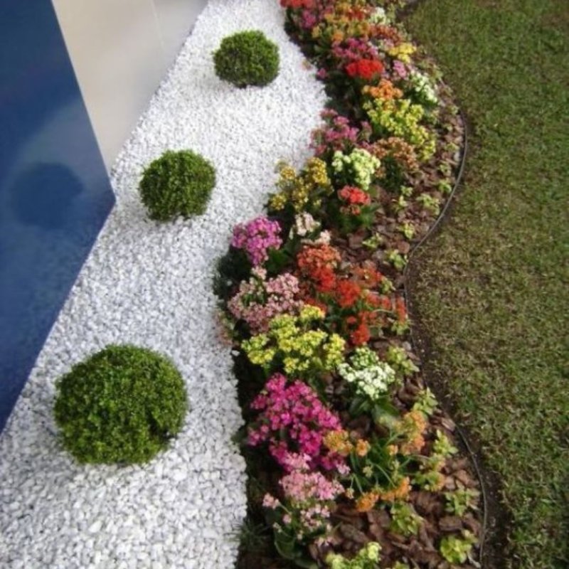 Landscaping ideas