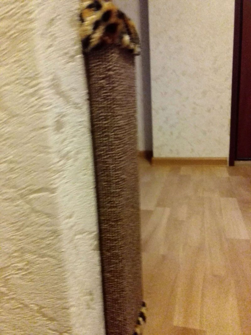 Когтеточка угловая