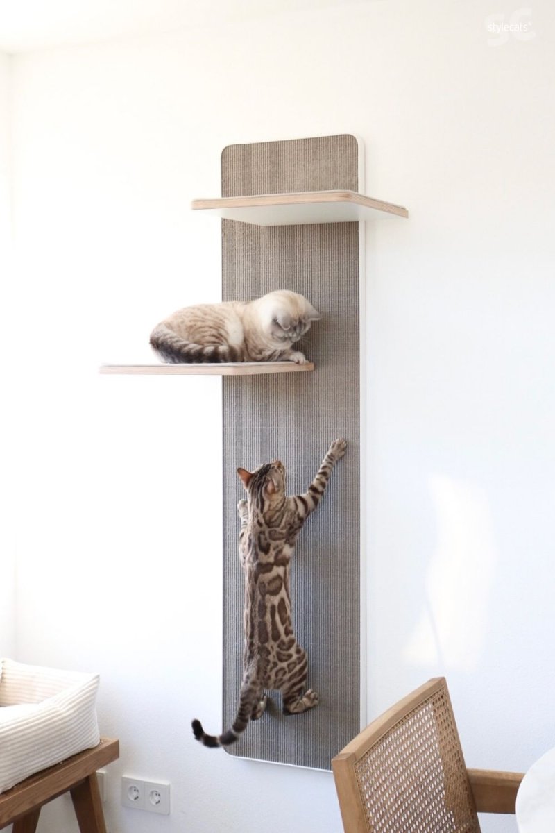 Кошачий домик лазалка