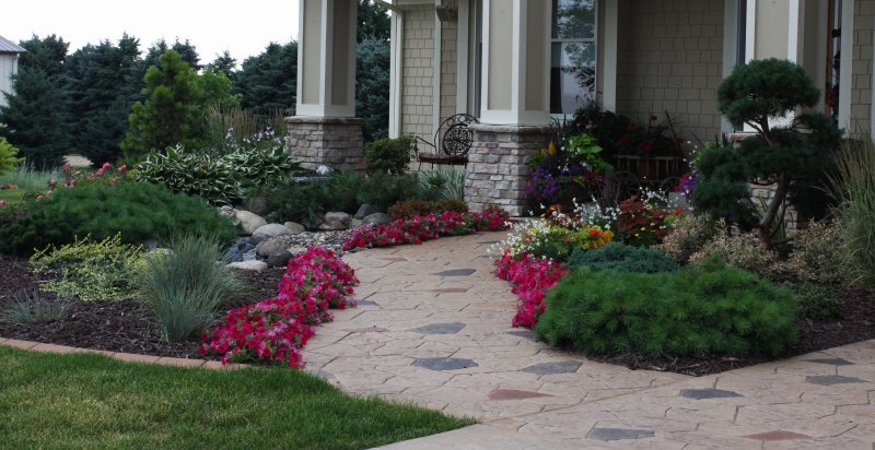 Backyard landscaping