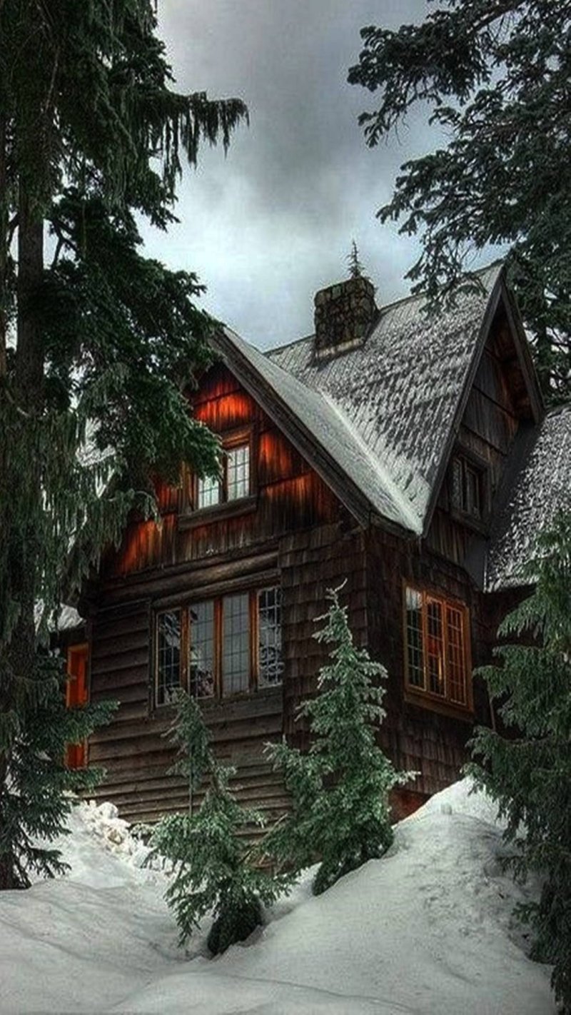 Домик в лесу зимой