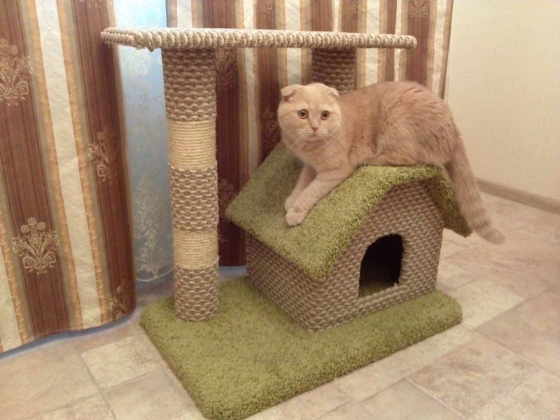 Кошкин домик