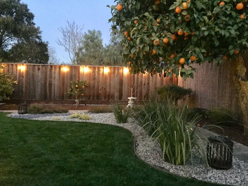 Backyard landscaping